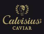 calvisius
