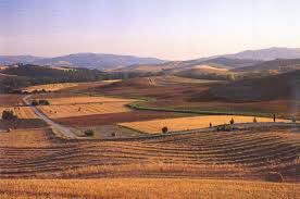 val d'orcia3