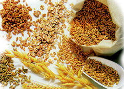 Dieta-coi-Cereali-dieta-da-1300-calorie-al-giorno-con-avena-orzo-grano-riso.-Perdere-4-6-chili-in-un-mese