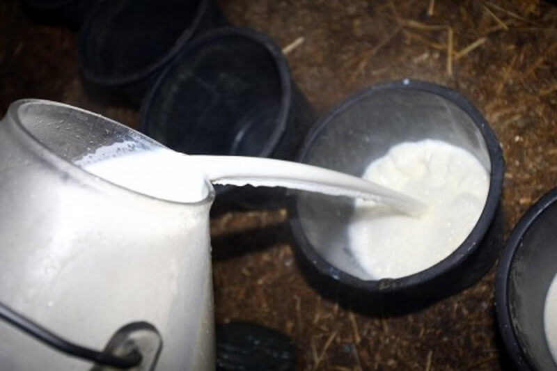 origine del latte in etichetta