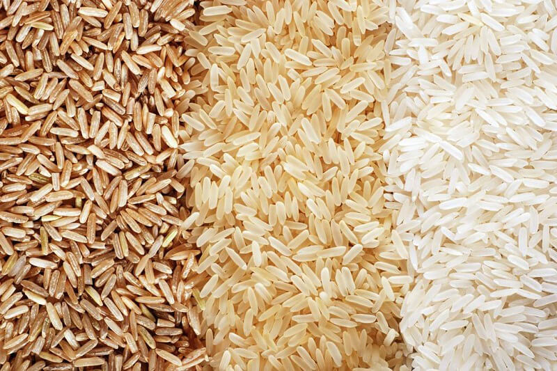 filiera europea del riso indica
