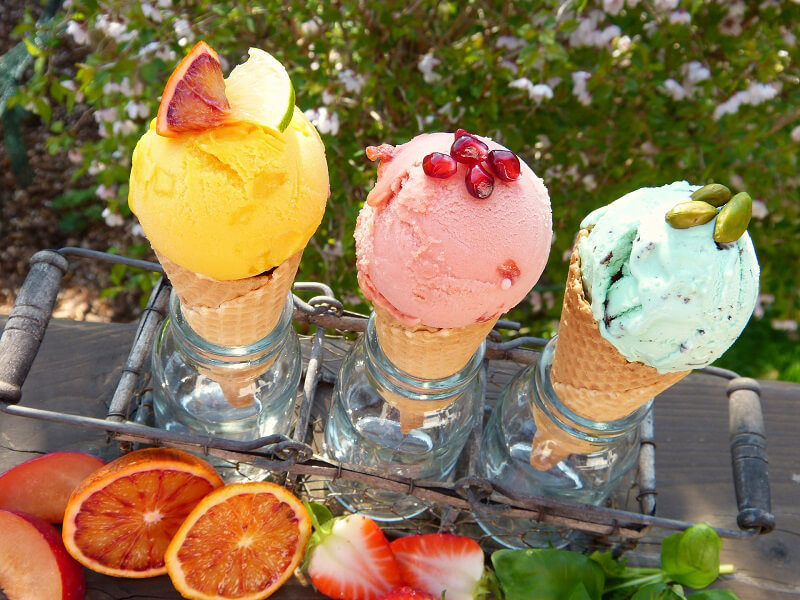 gelatieri per il gelato piante officinali