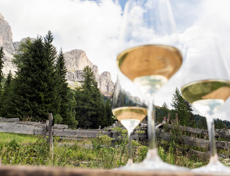 I vini dell'Alto Adige in Tour
