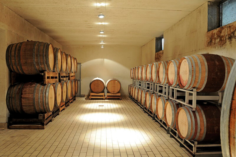 Ruché di Castagnole Monferrato Ferraris Vineyards 