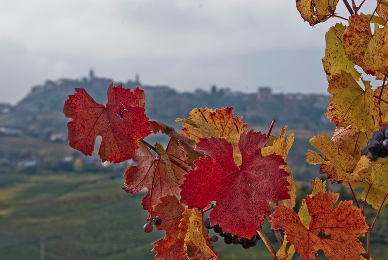 Autunno in Langa