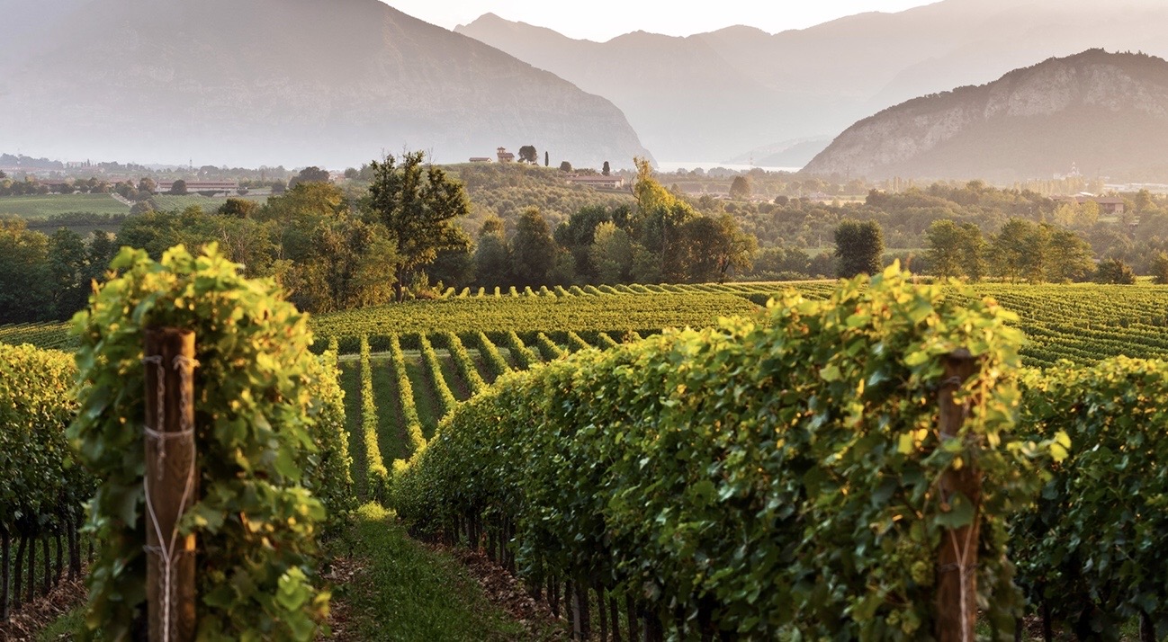 Wine events Italy May, 2022
