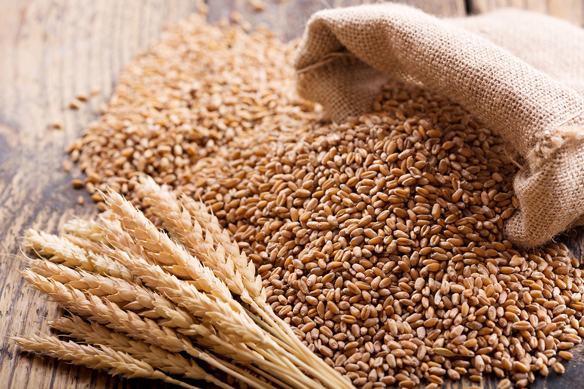 Crisi del grano