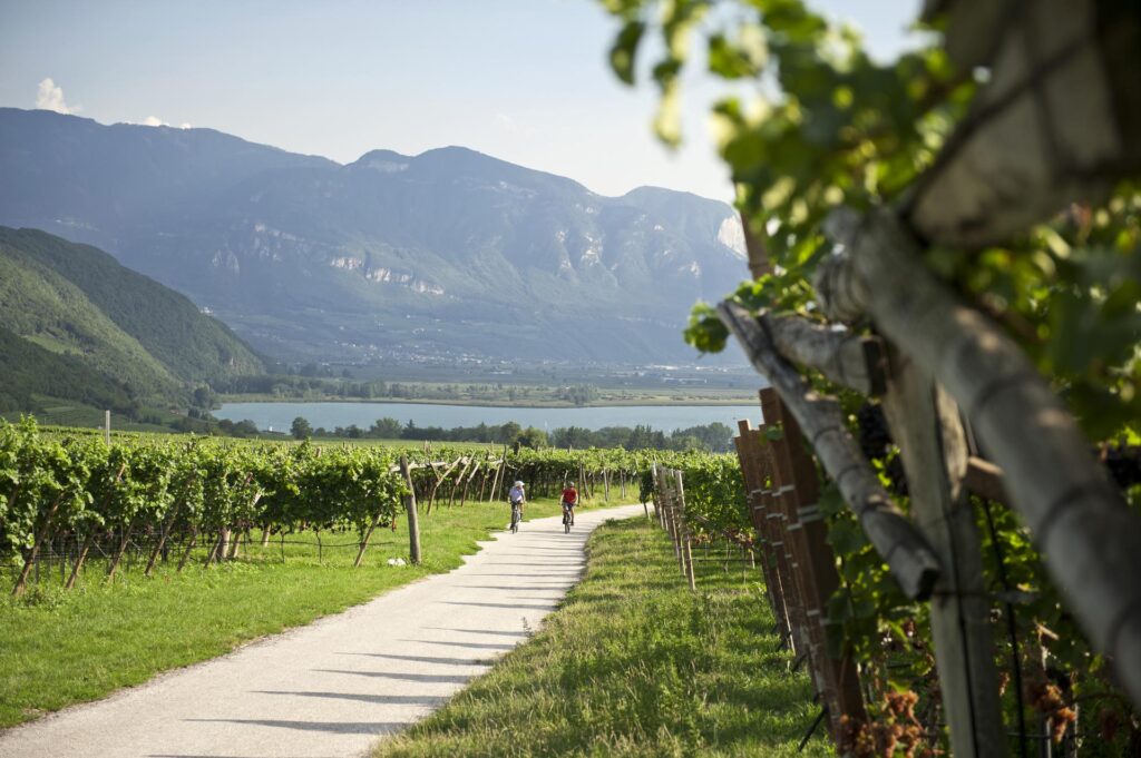 Enoturismo in Alto Adige